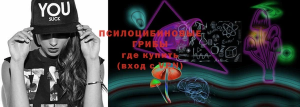 винт Алзамай