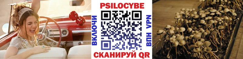 Псилоцибиновые грибы Psilocybe  Карпинск 