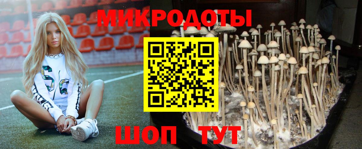 цены   Псилоцибиновые грибы Psilocybe  Вход с VPN  Псилоцибиновые грибы Cubensis  Карпинск 